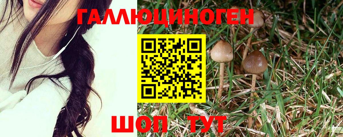 Галлюциногенные грибы мицелий  где купить   Смоленск  Вход с VPN 