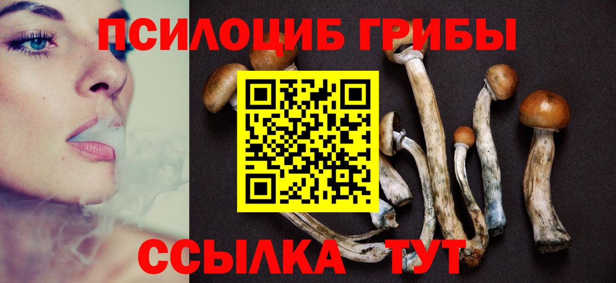 Галлюциногенные грибы Cubensis Смоленск